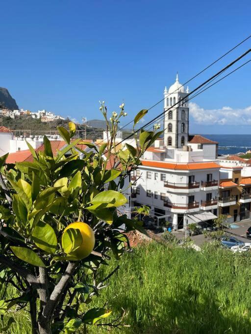 Bonita Casa En El Corazon Del Pueblo! Villa Carmen Garachico  Dış mekan fotoğraf